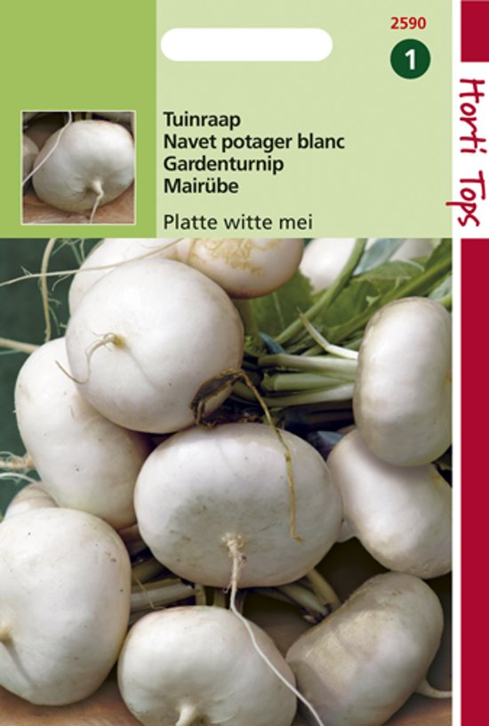 Tuinraap platte witte mei (Brassica rapa) 4000 zaden